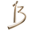 13th anniversary logo