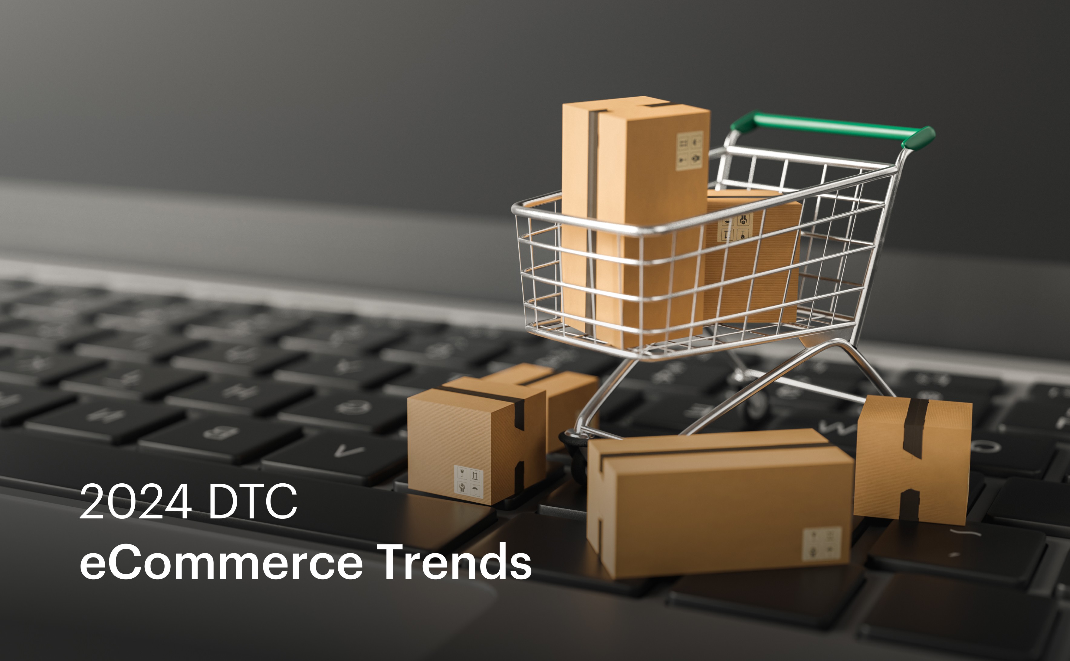 2024 DTC eCommerce Trends What Brands Are Adopting