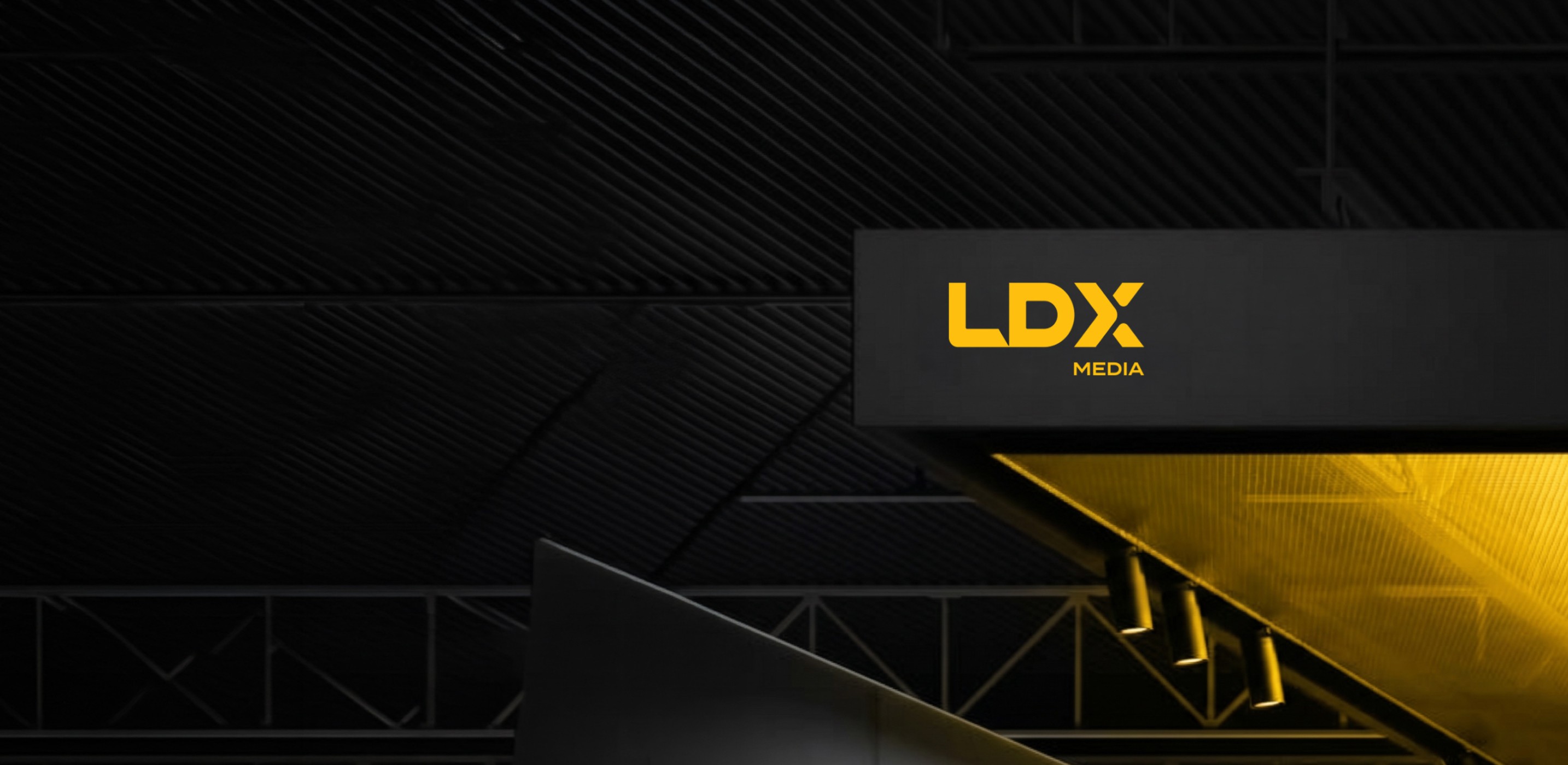 LDX