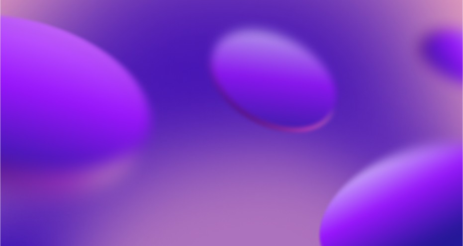 DMT - img.jpg