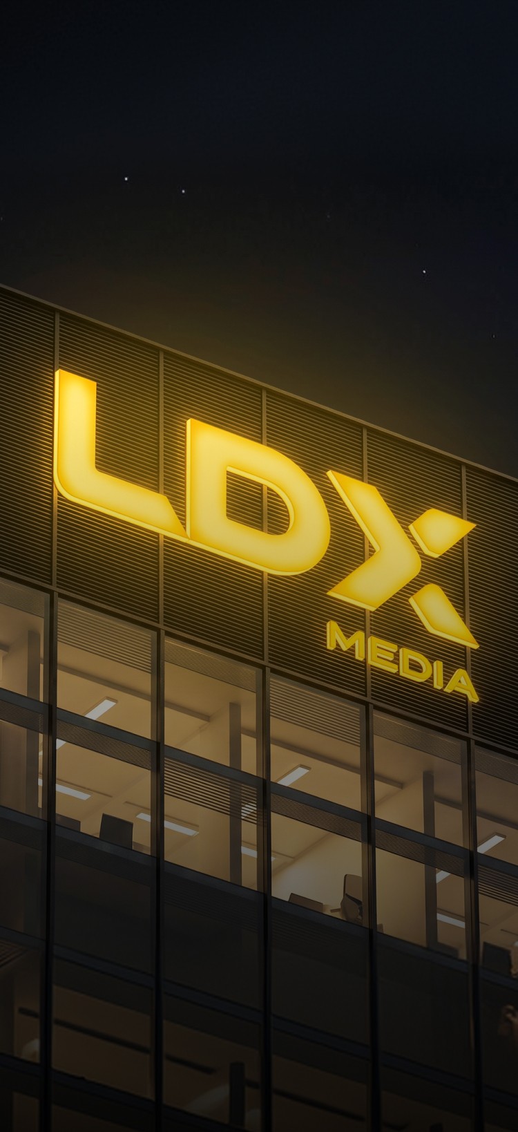LDX - Mob banner.jpg