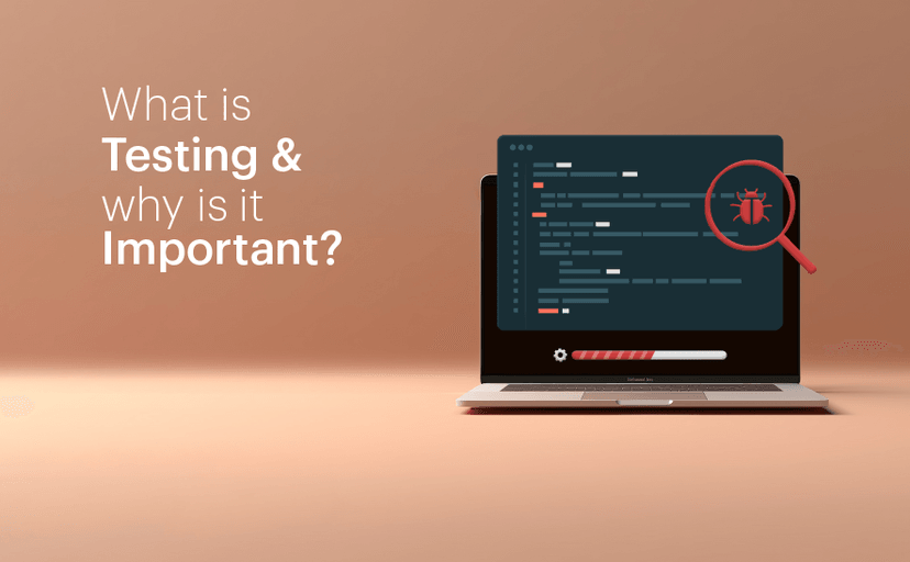 What is Testing and why is it Important? - Webandcrafts Blog
