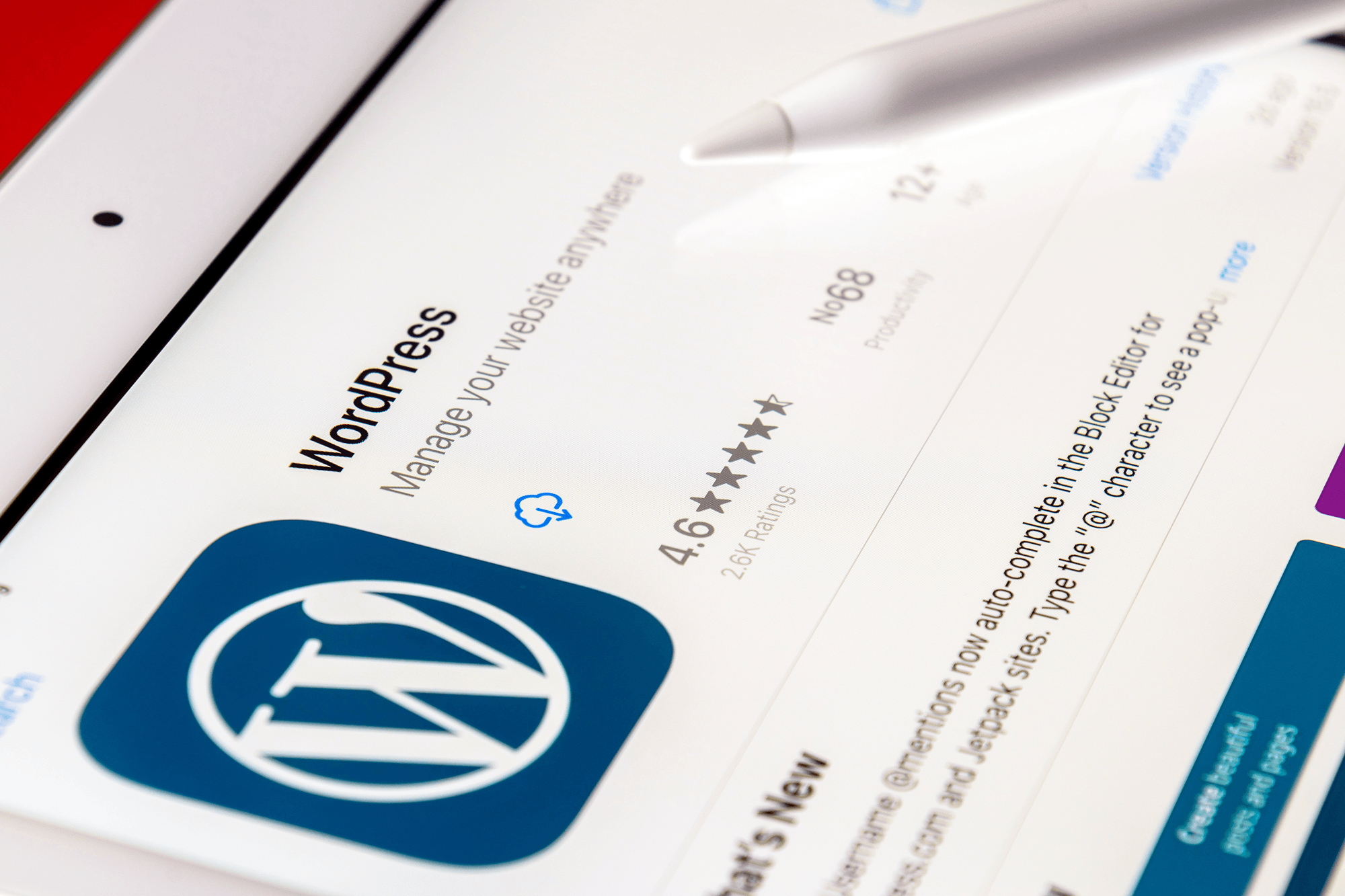 Top Benefits of Custom WordPress Development For Your Business Website