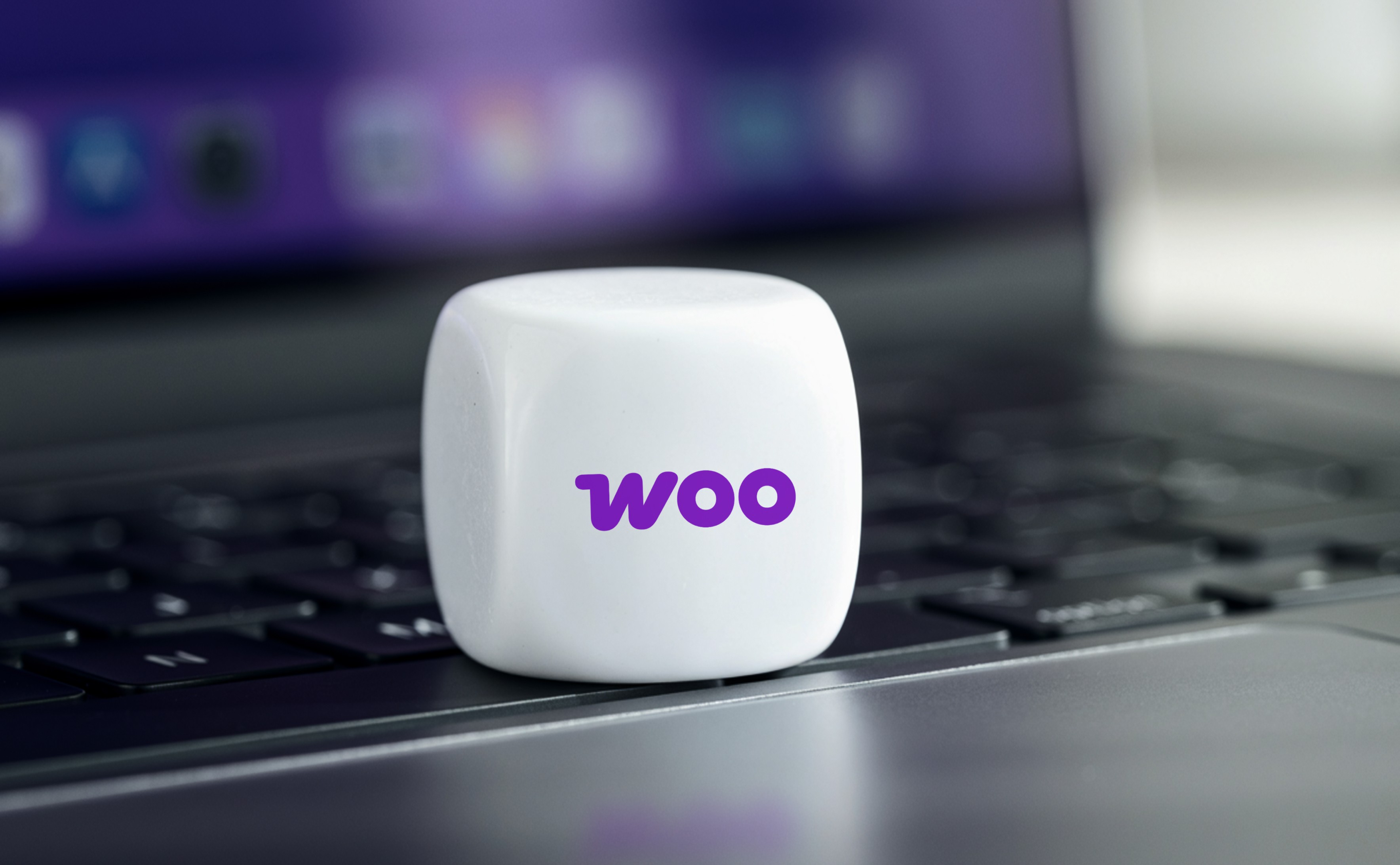 WooCommerce extensions